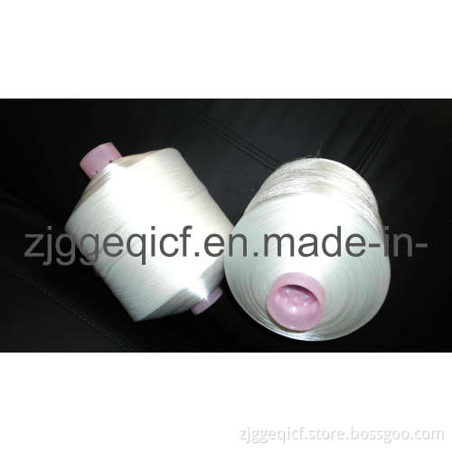Nylon 6 Twisted Yarn